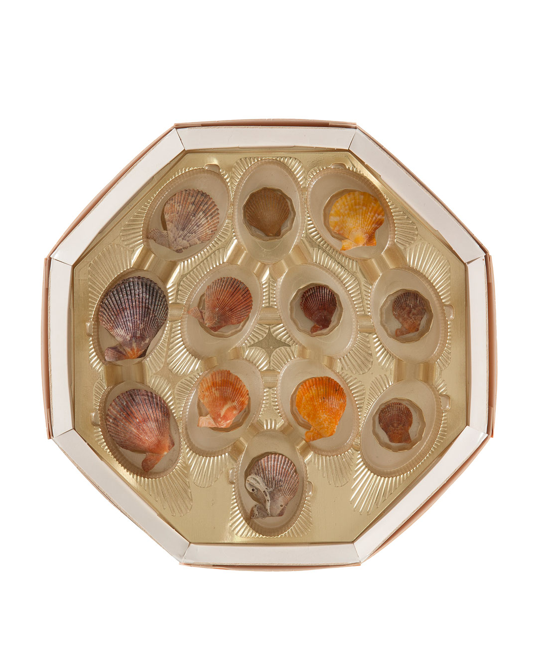 Annelies Planteijdt, Mooie stad – Collier en schelpen (Beautiful City - Necklace and Shells), shells in bonbon box (image 2/2)